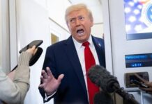 Barış: Şimdi ne olacak? / Peace: What will happen now?