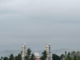 Endonezya: devlet, doğal afet ve toplumsal hissediş / Indonesia: state, natural disaster and social sentiment