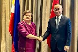 The China Global South Project