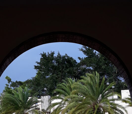 Akademide temel sorun: Eğitim-öğretim ve araştırma dikotomisi (2) / The fundamental problem in academia: The dichotomy between teaching and research (2)
